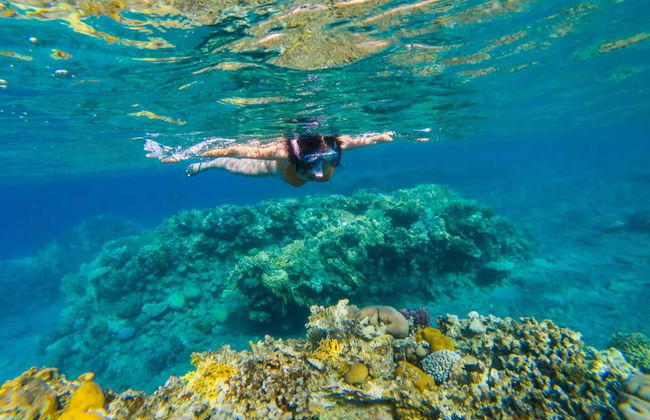 Snorkel en San Andrés - Foto 4