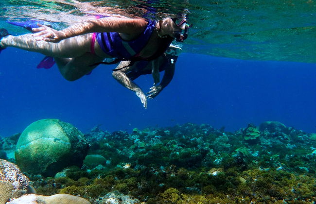 Snorkel en San Andrés - Foto 5