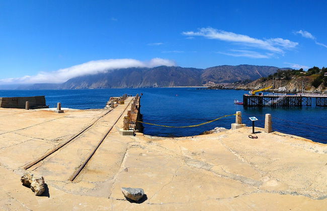 Excursion à l'île Noire, Algarrobo et Quintay - Photo 6
