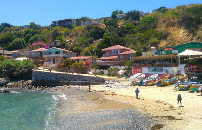 Excursion à l'île Noire, Algarrobo et Quintay - Photo 7