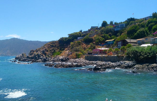 Excursion à l'île Noire, Algarrobo et Quintay - Photo 5