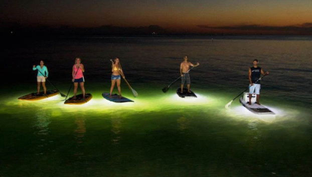 Tour nocturno en kayak por los manglares de Mandinga - Foto 4