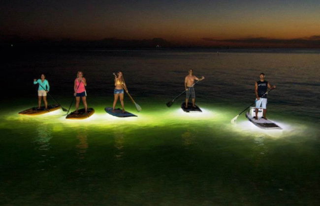 Tour nocturno en kayak por los manglares de Mandinga - Foto 4