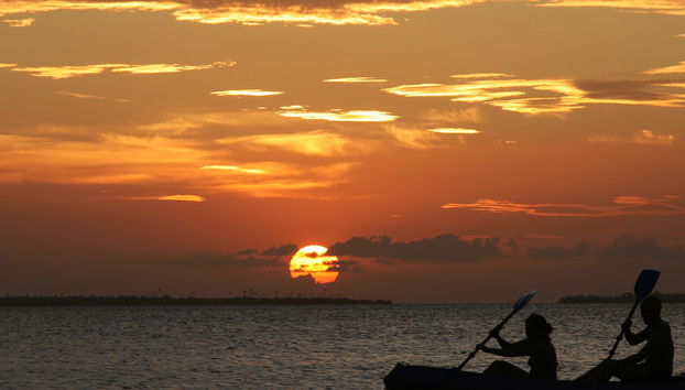 Tour nocturno en kayak por los manglares de Mandinga - Foto 5