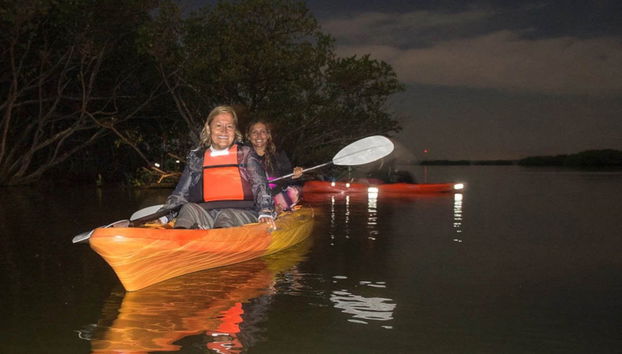 Tour nocturno en kayak por los manglares de Mandinga - Foto 3