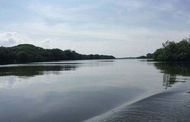 Mandinga Boat Trip - Foto 2