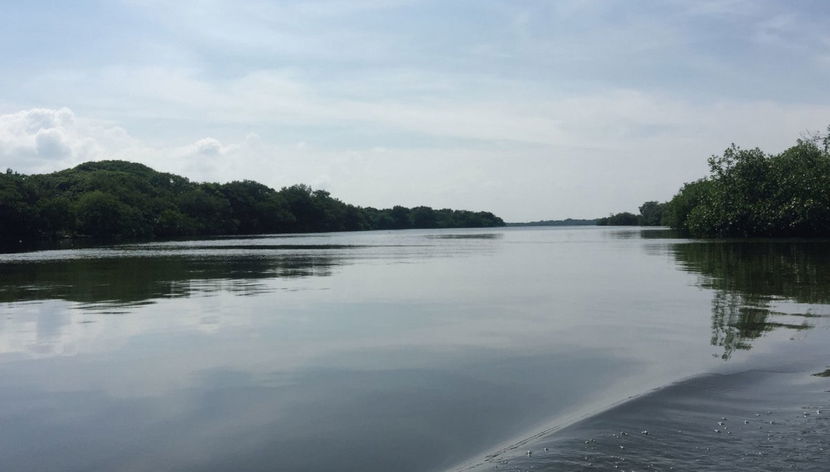 Mandinga Boat Trip - Foto 2