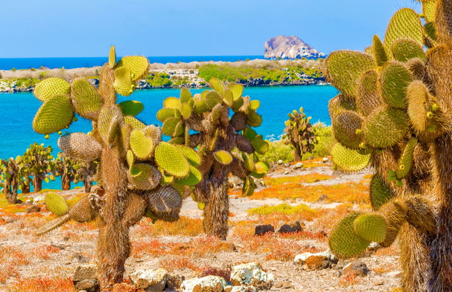 Transporte entre el Aeropuerto de Galápagos y la Isla de Santa Cruz - Foto 6