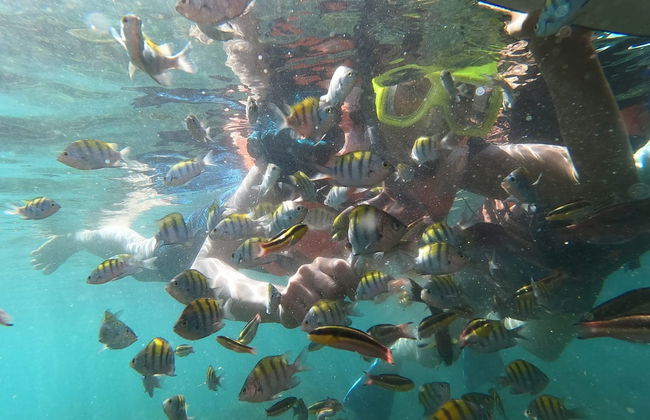 Snorkeling at Las Gatas Beach - Photo 4