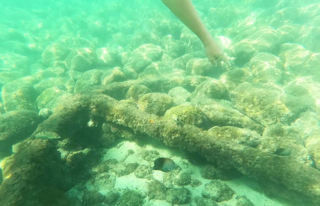 Snorkeling at Las Gatas Beach - Photo 2
