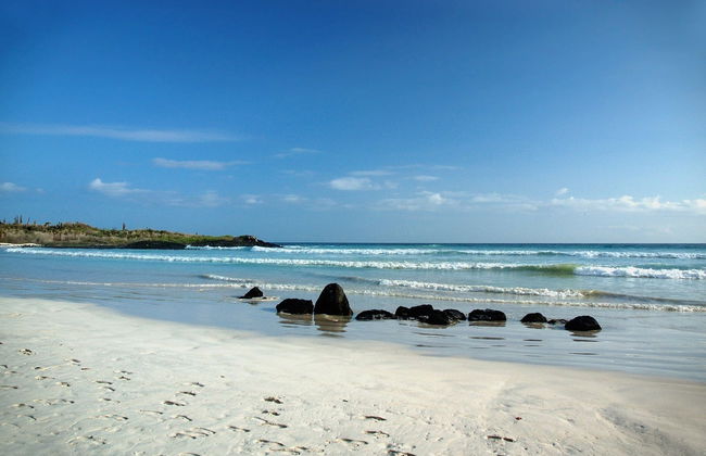 Tortuga Bay Day Trip - Foto 6