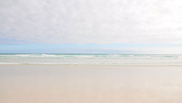 Excursão a Tortuga Bay - Foto 4