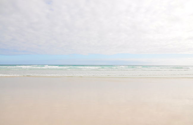 Tortuga Bay Day Trip - Foto 4