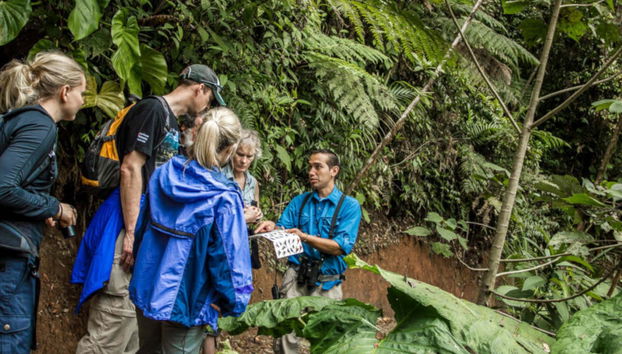 Selvatura Park Monteverde Tour - Foto 3