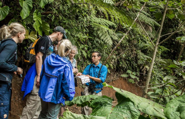 Excursão ao Selvatura Park Monteverde - Foto 2