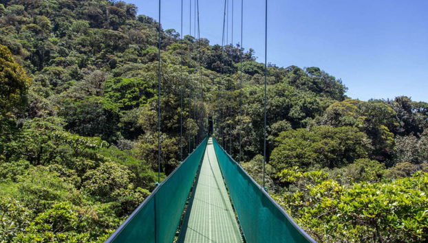 Selvatura Park Monteverde Tour - Foto 4