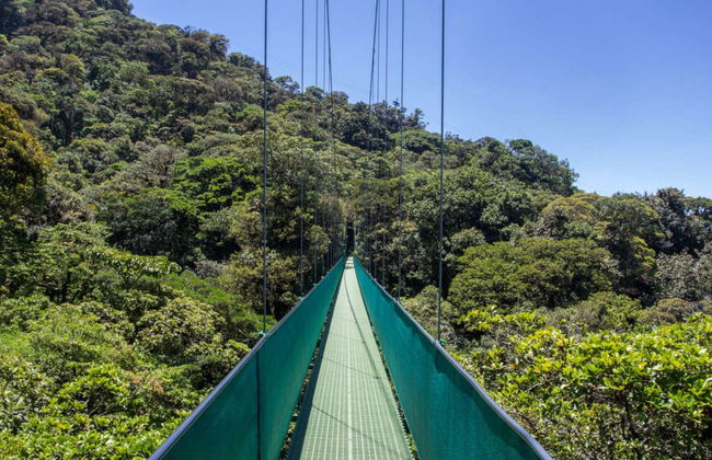 Excursão ao Selvatura Park Monteverde - Foto 3