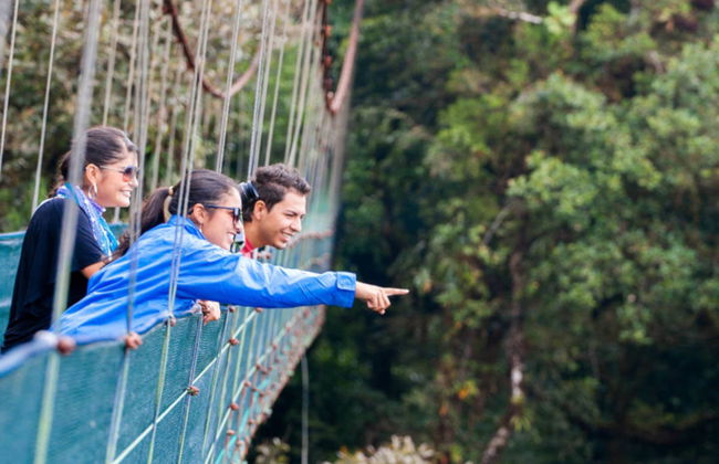 Excursão ao Selvatura Park Monteverde - Foto 4