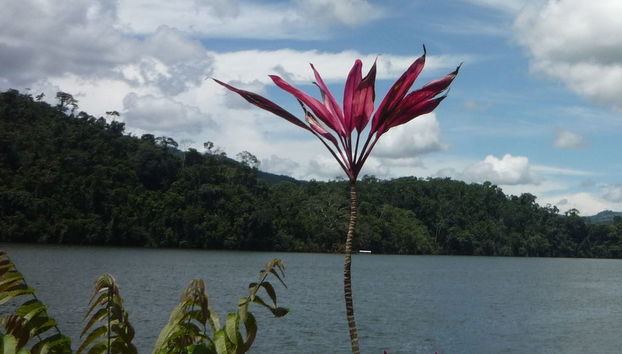 Excursão à Laguna Azul - Foto 2