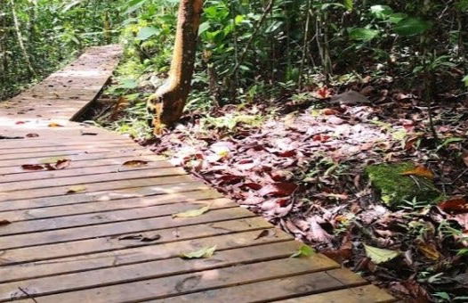 Excursión a La Virginia y El Guásimo - Foto 6