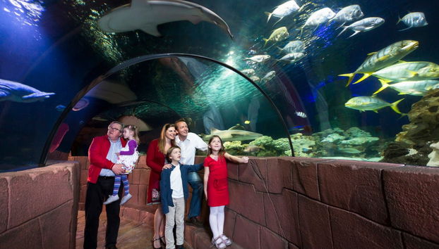 SEA LIFE® Ticket - Foto 2