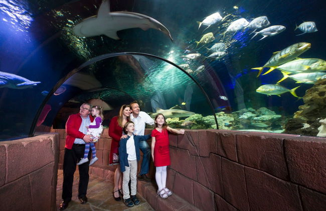 SEA LIFE® Ticket - Foto 2