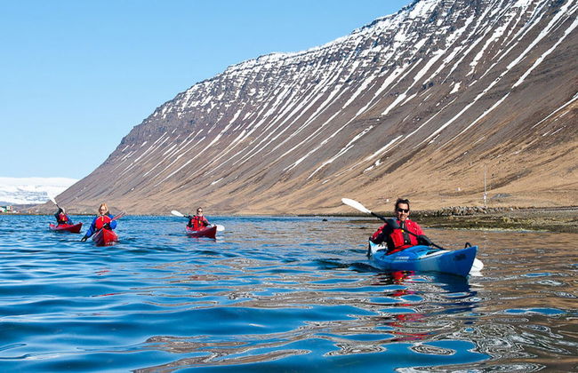 Tour en kayak por la bahía de Isafjordur - Foto 3