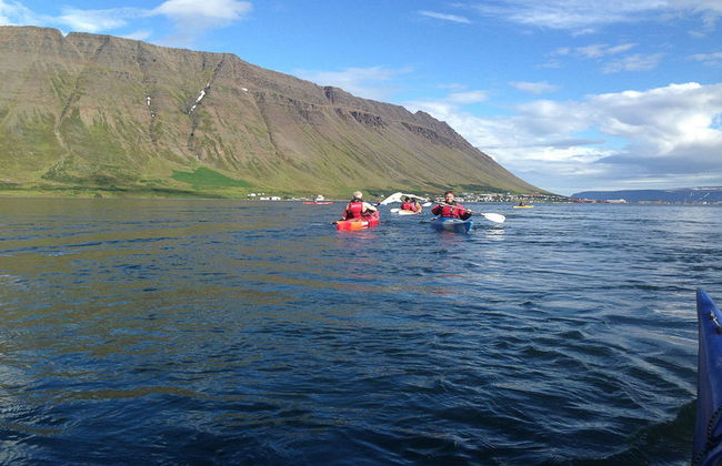 Tour en kayak por la bahía de Isafjordur - Foto 4