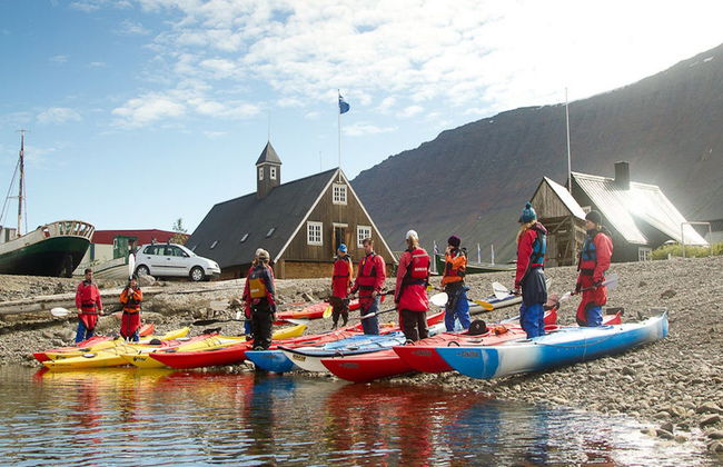 Tour en kayak por la bahía de Isafjordur - Foto 5