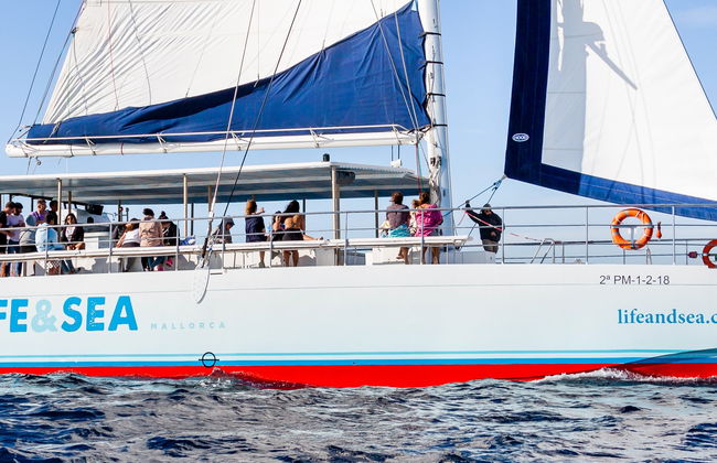 Paseo en catamarán por la bahía de Palma con barbacoa - Foto 8