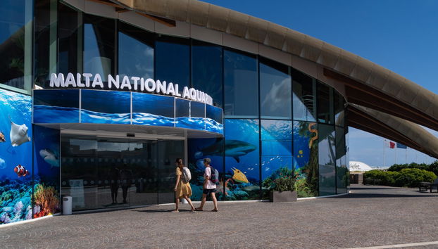 Malta National Aquarium Ticket - Photo 2