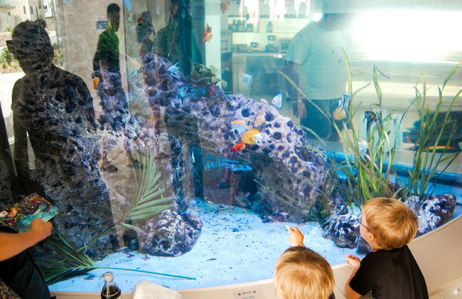 Biglietti per l'Acquario Nazionale di Malta - Foto 6