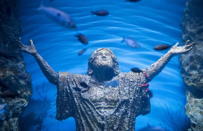 Biglietti per l'Acquario Nazionale di Malta - Foto 1