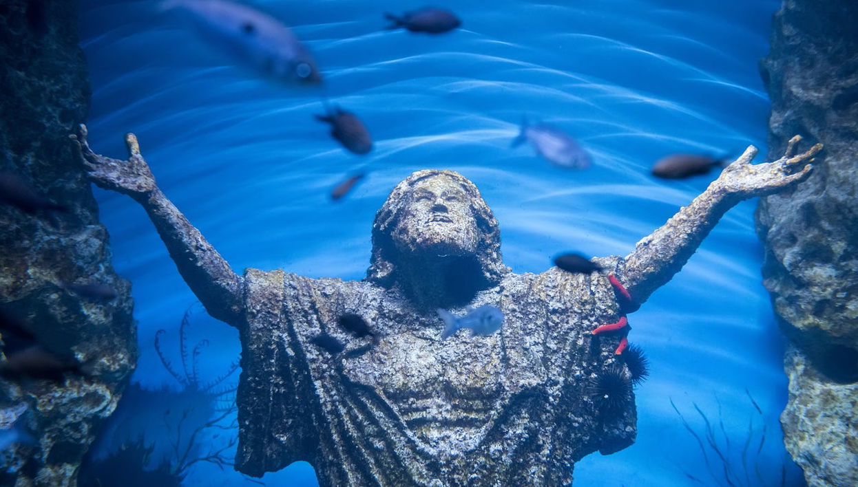 Malta National Aquarium Ticket - Photo 1