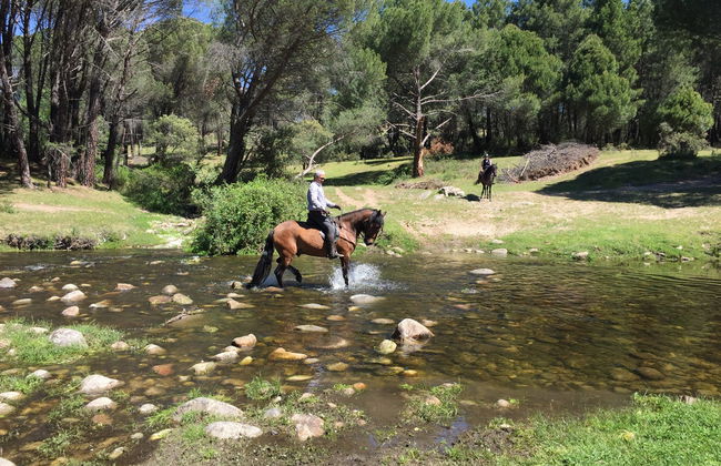 Paseo a caballo por el valle del Tiétar - Foto 5