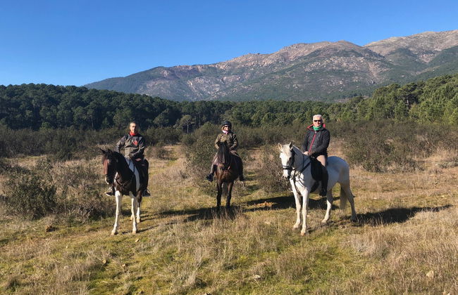 Paseo a caballo por el valle del Tiétar - Foto 3