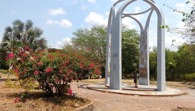 Visita guiada privada por Armero - Foto 4