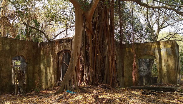 Visita guiada privada por Armero - Foto 2