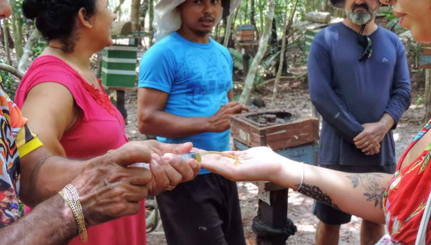 Tour pelas comunidades ribeirinhas do Arapiuns - Foto 4
