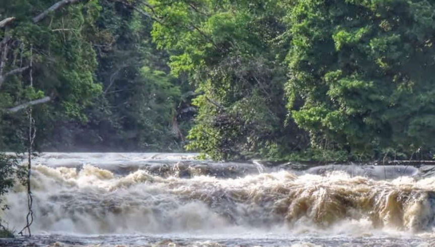 Arapiuns River Communities Tour - Foto 1