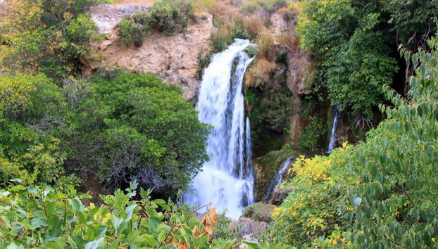 Tour privado por las Lagunas de Ruidera - Foto 4