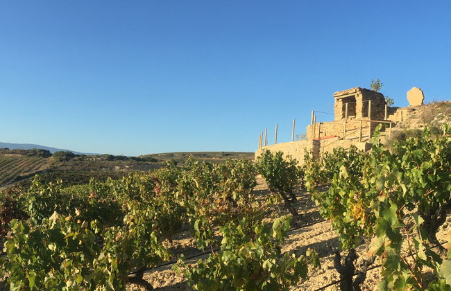 Visita a las bodegas Loli Casado - Foto 10