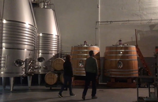 Visita a las bodegas Loli Casado - Foto 4