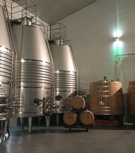 Foto de Visita a las bodegas Loli Casado