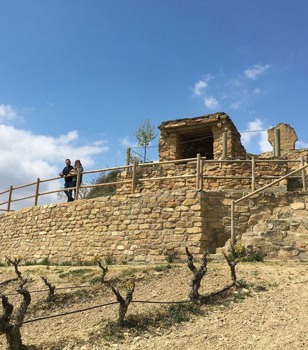 Foto de Visita a las bodegas Loli Casado