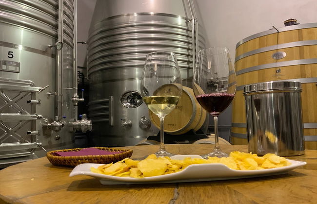 Visita a las bodegas Loli Casado - Foto 6