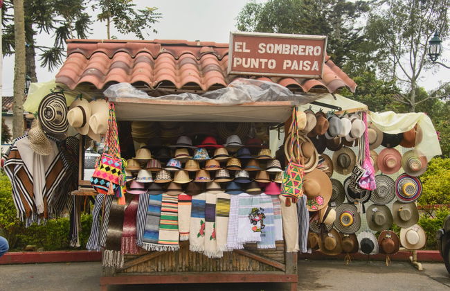 Visita guiada por Filandia - Foto 6