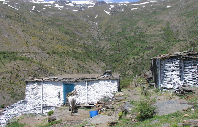 Sierra Nevada Trekking Route - Photo 3