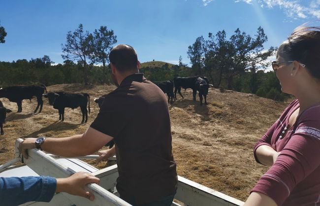 Tour por las haciendas de Tlaxcala - Foto 6