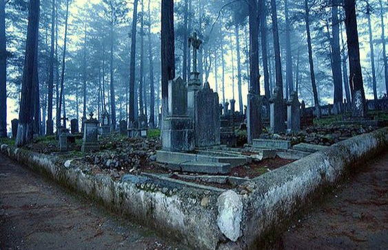 Excursión a Huasca de Ocampo y Mineral del Monte - Foto 6